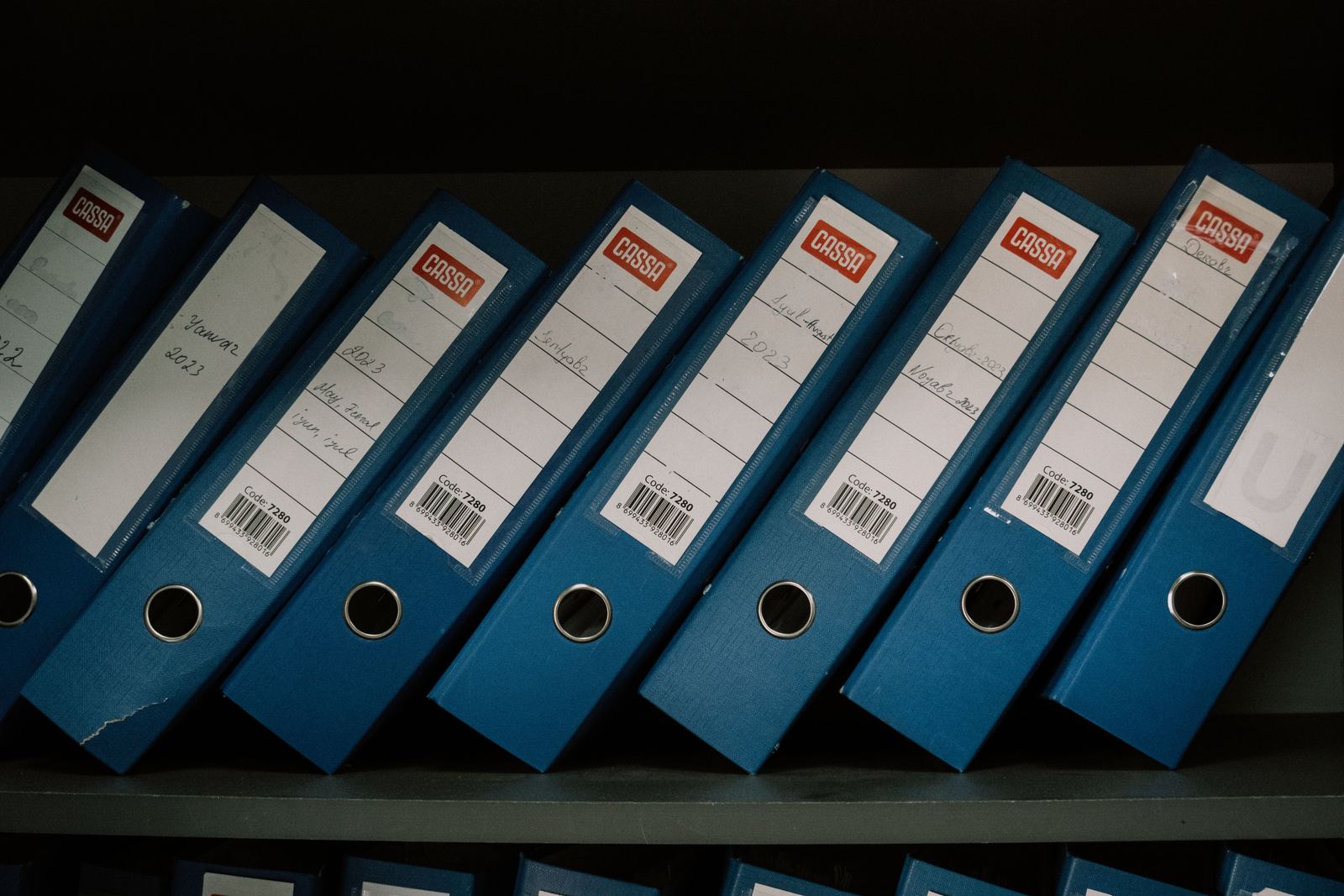 Rows of labeled binders on archive shelving, rendered as a teal-toned plate